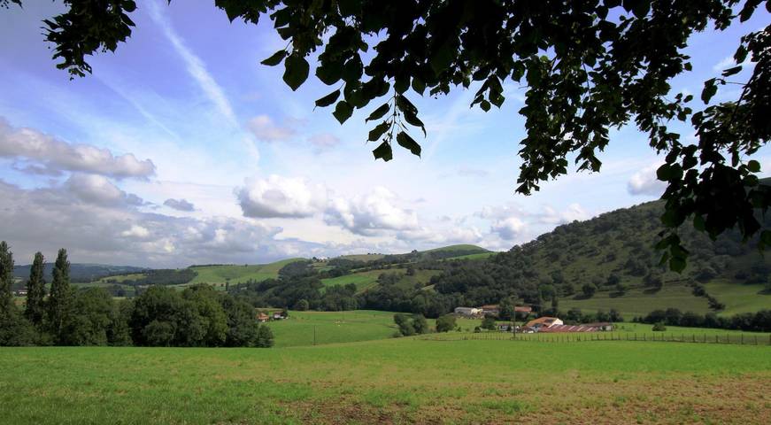 Gîte pour 4 personnes, avec jardin, animaux acceptés en Pyrénées-Atlantiques - 3