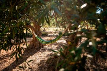 Agriturismo per 5 Persone in Castellammare del Golfo, Provincia di Trapani, Foto 4