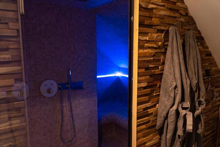 Location de vacances pour 3 personnes, avec sauna et jacuzzi, animaux acceptés à Saint-Cyr-sur-Loire - 3