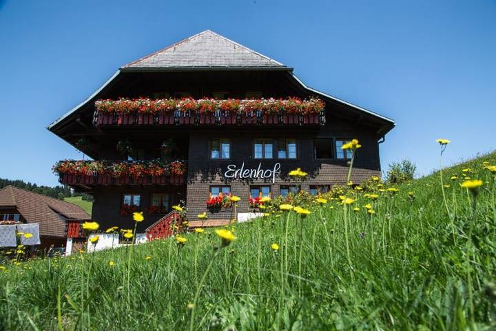 Ferienwohnung für 4 Personen, mit Balkon und Garten in Todtnau - 3