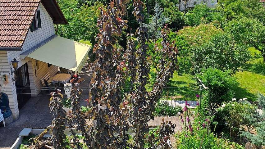 Ferienhaus für 4 Personen, mit Garten in Saarburg und Umgebung - 4