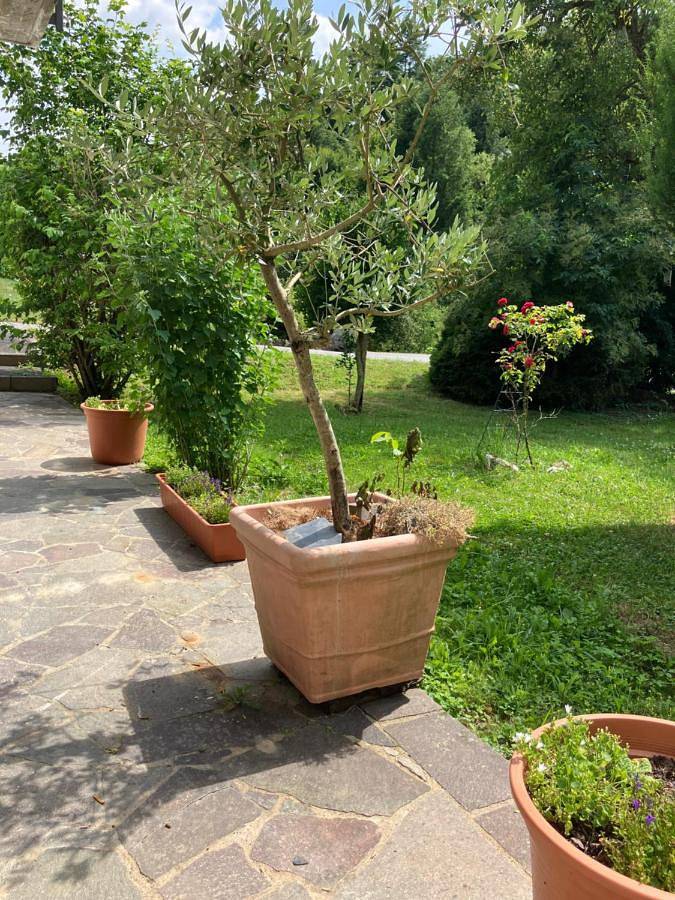 Ferienwohnung für 3 Personen, mit Ausblick und Garten, kinderfreundlich in Thalfang am Erbeskopf - 4