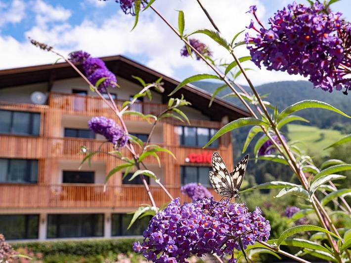 Apartmenthotel für 7 Personen, mit Balkon und Terrasse sowie Garten und Sauna in Heinfels