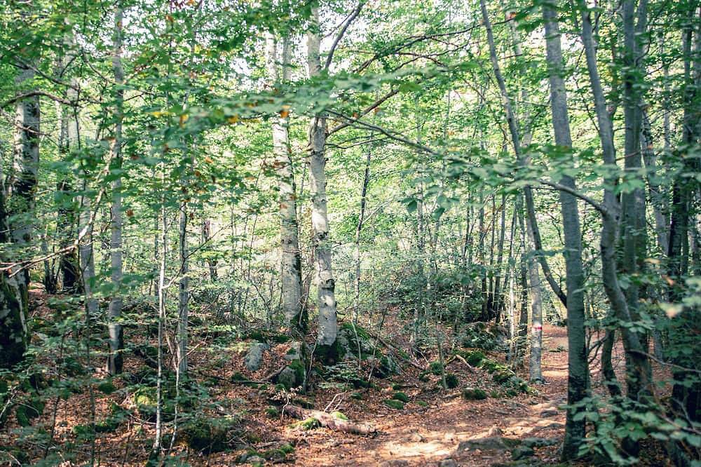 Ganze Wohnung, Quiet apartment in the Gravone valley, Peri plain. in Peri, Ajaccio und Umgebung