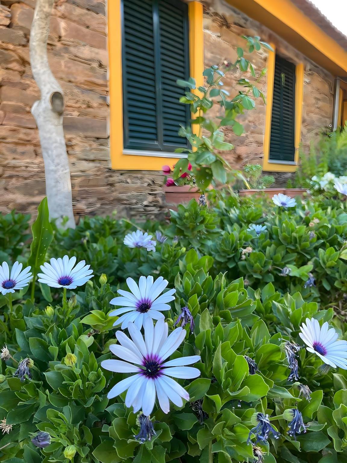 Casa de Campo 'Casa De Canelas - Refugio Terroir' com Vista para a Montanha, Wi-Fi e Ar Condicionado in Açoreira, Vale do Douro
