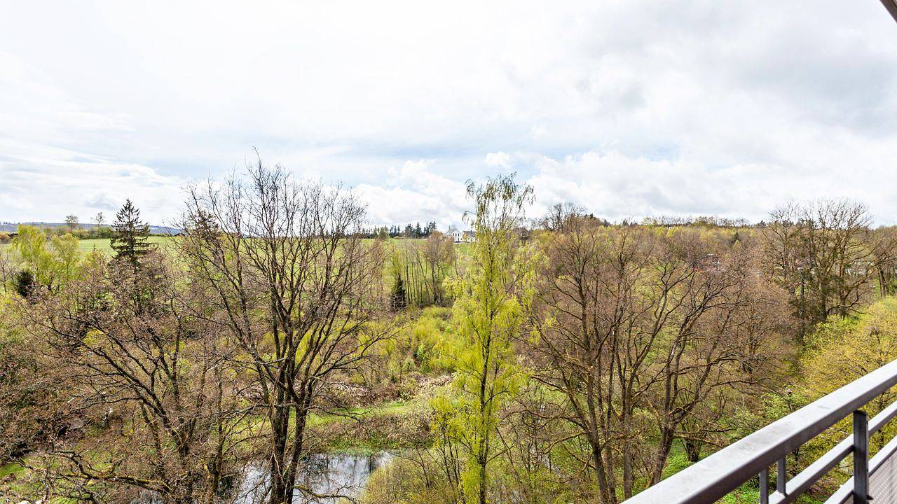 Ganze Ferienwohnung, Ferienwohnung für 4 Personen (32 m²) in Brilon in Brilon, die Mittelgebirge