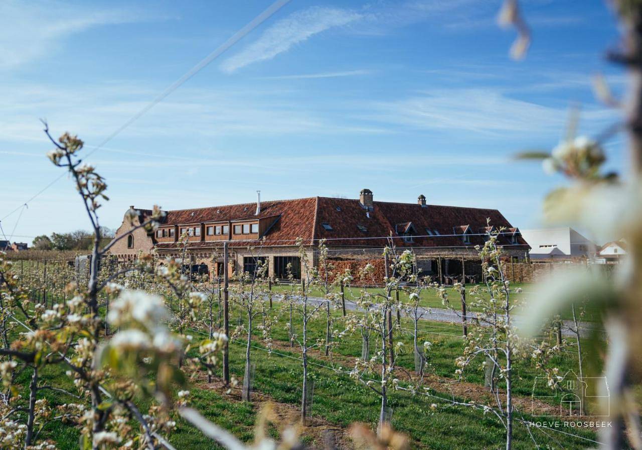 Hoeve Roosbeek in Zepperen, Saint-Trond