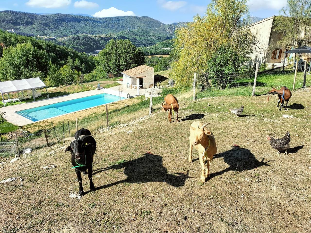 Villa charmante à Sisteron avec piscine privée in Sisteron, Région de Forcalquier