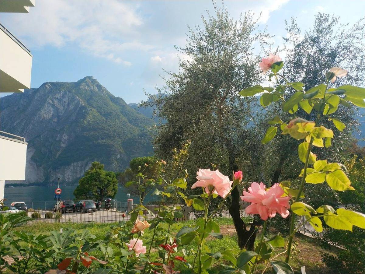 Ganze Wohnung, Le case di Giulia in Abbadia Lariana, Abbadia Lariana Kommune