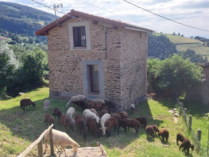 Gîte pour 4 personnes, avec jardin, animaux acceptés dans la Loire - 2