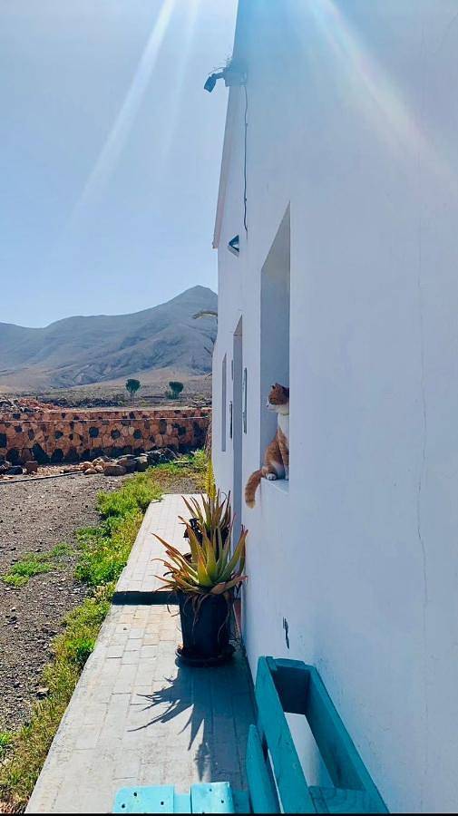 Casa rural para 2 personas, con jardín y vistas en Fuerteventura - 4
