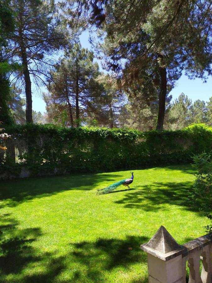 Casa rural para 2 personas, con Terraza y Jardín además de Piscina para niños y Piscina en Provincia de Cuenca - 3