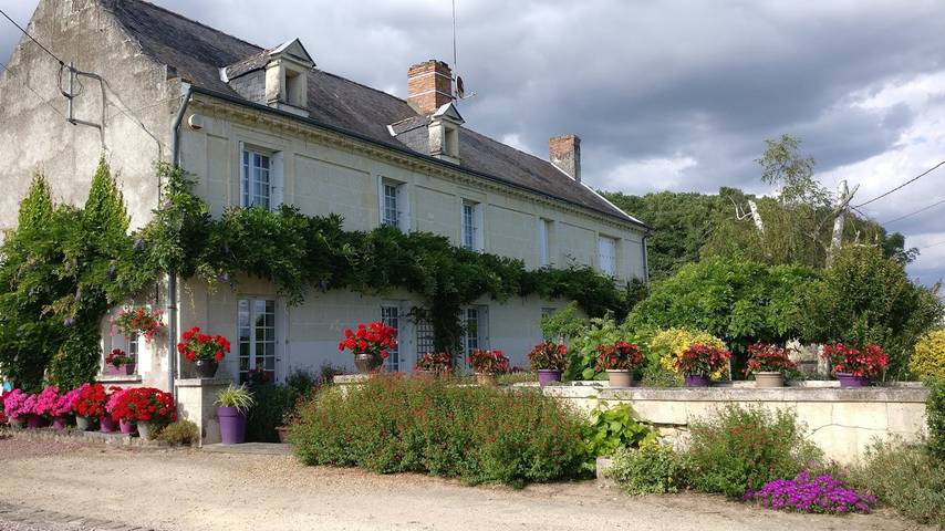 Chambre d’hôte pour 4 personnes, avec jardin et piscine en Indre-et-Loire - 2