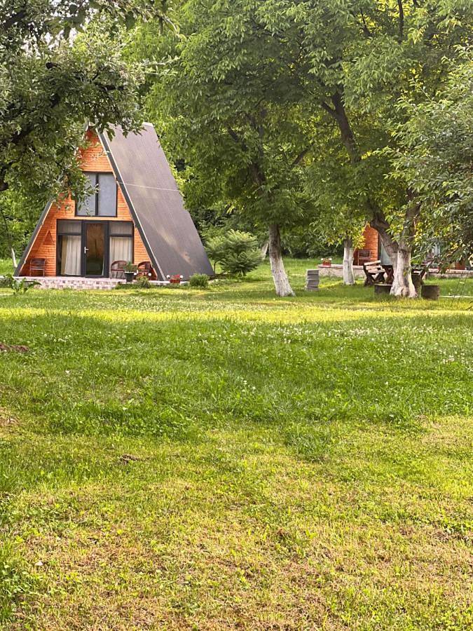The Frog Glamping in Walachia