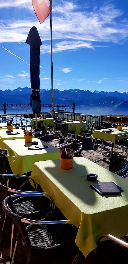 Hôtel pour 2 personnes, avec vue ainsi que terrasse et vue sur le lac, animaux acceptés dans Rigi Kaltbad