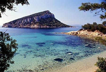 Hôtel pour 2 personnes, avec terrasse, animaux acceptés à Golfo Aranci - 3