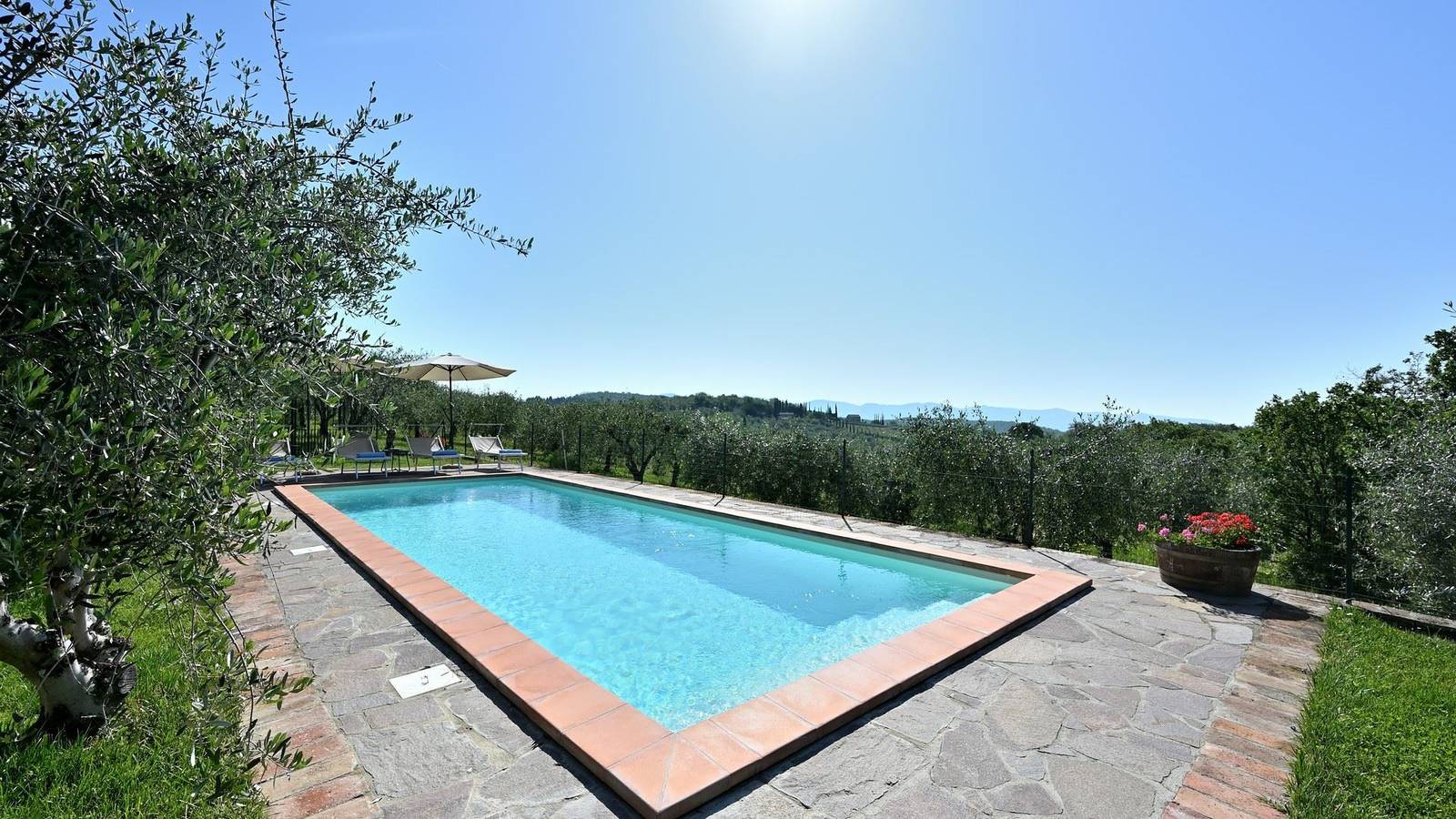 Sassolaia in Gaiole in Chianti, Chianti