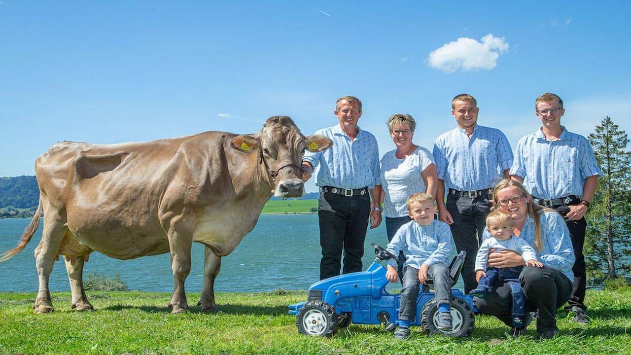 Ferienhaus für 5 Personen (62 m²) in Willerzell in Einsiedeln, Luzern - Vierwaldstättersee