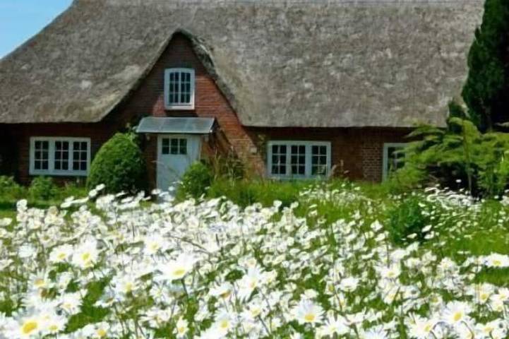 Ferienhaus für 6 Personen, mit Garten - 1