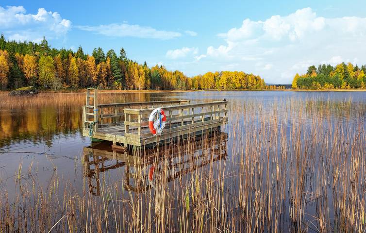 Ferienhaus für 4 Personen, mit Seeblick und Ausblick sowie Garten, mit Haustier in Ost-Norwegen - 3