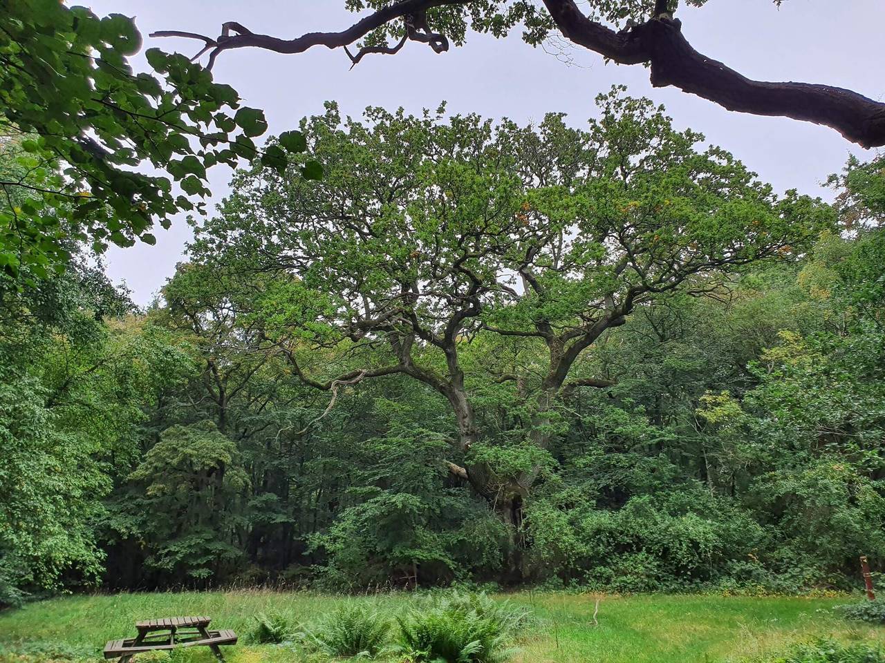 10 Personen Ferienhaus in Stege in Vordingborg und Umgebung