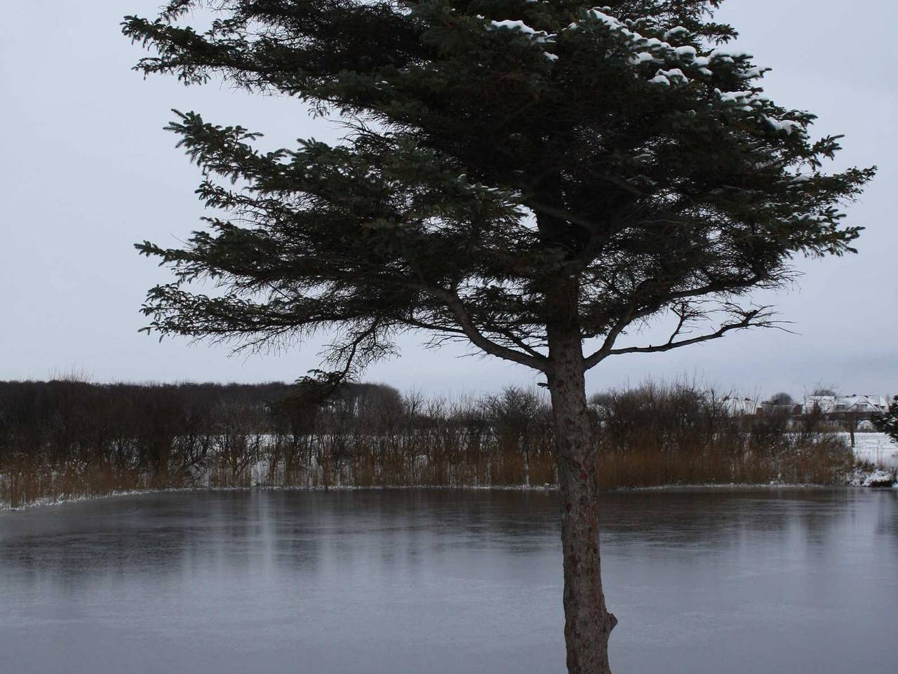 Ganze Ferienwohnung, Haus Tholund - Fewo 2 in Utersum, Föhr