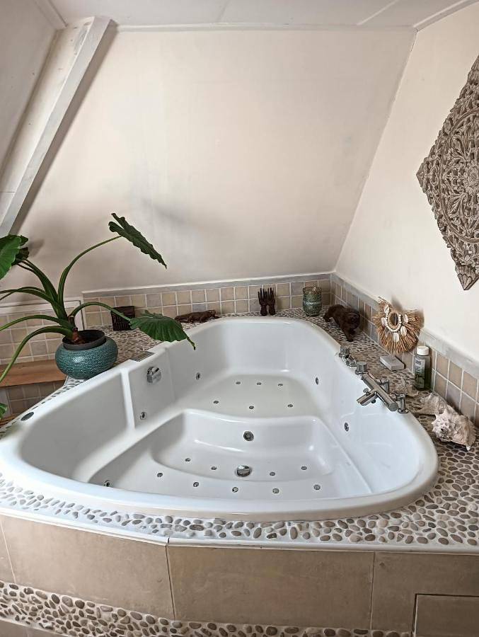 Vakantiehuis voor 2 personen, with Whirlpool and Terras as well as Tuin and Uitzicht in Beemster