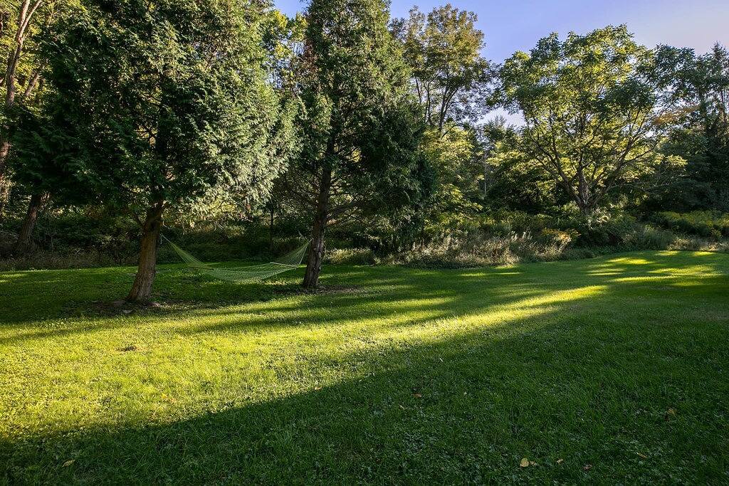 Dragonfly Cottage-Pet-friendly, relaxing Wellsboro retreat in Tioga County