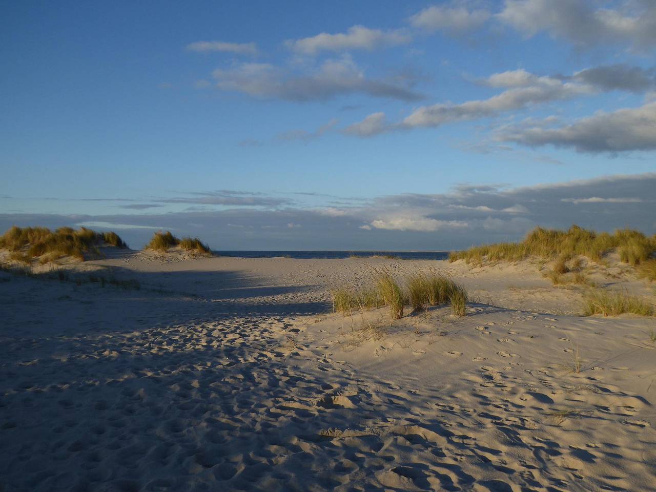 Ganze Ferienwohnung, Apartment Schäfer in Hörnum, Sylt