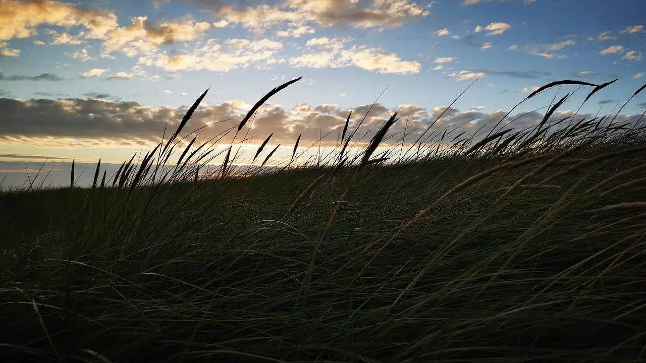 Ferienhaus für 6 Personen (60 m²) in Blåvand in Blåvand, Varde (Danmark)