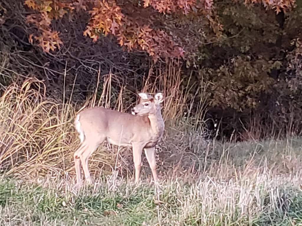 Randy's Rathbun Rental #2 \"Your home away from Home\" 15786 two point lane in Appanoose County