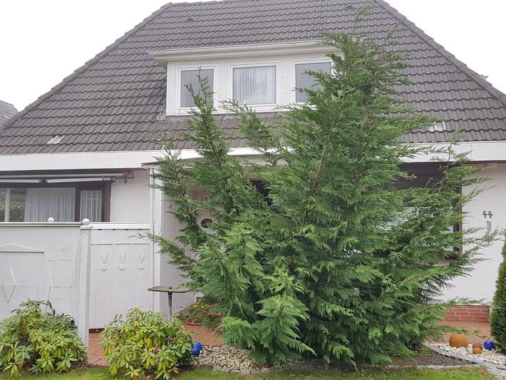 Ganze Ferienwohnung, Haus Soltau in St. Peter-Ording, Eiderstedt