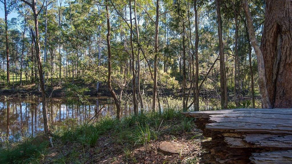 Oakey Creek
Privater Rückzug -
Abgeschiedener romantischer Kurzurlaub
Nur für Paare in Sunshine Coast