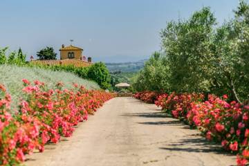Casa Vacanza per 20 Persone in Tavarnelle Val di Pesa, Barberino Tavarnelle, Foto 2