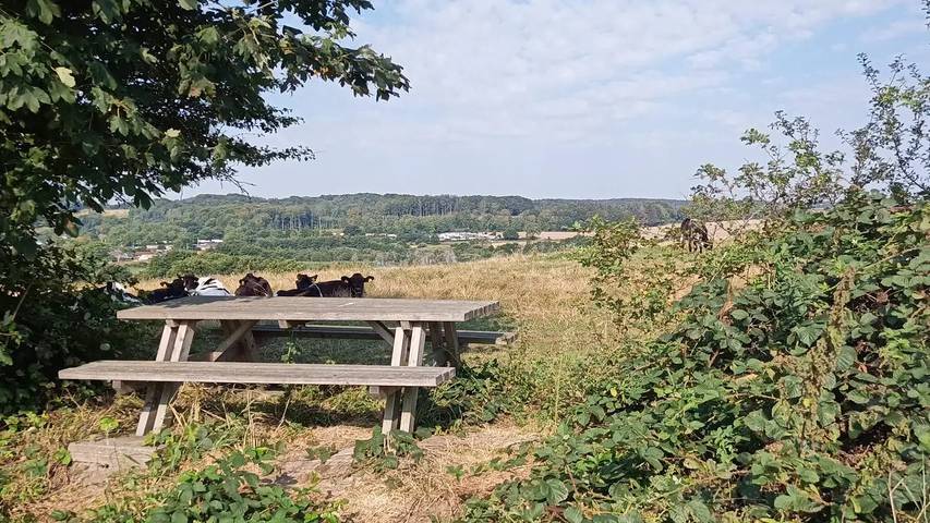 Ferienhaus mit Meerblick für 5 Personen, mit Terrasse in Hadersleben - 3