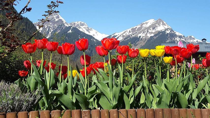 Ferienwohnung für 6 Personen, mit Garten im Montafon - 3