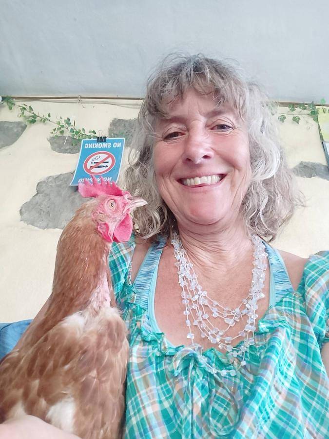 Albergue para 2 personas, con piscina además de vistas y jardín en La Palma - 4