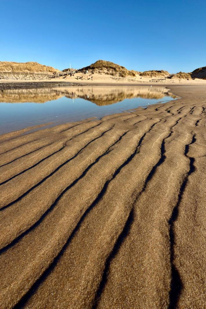 Location de vacances pour 5 personnes, avec jardin, animaux acceptés dans Warmenhuizen - 2