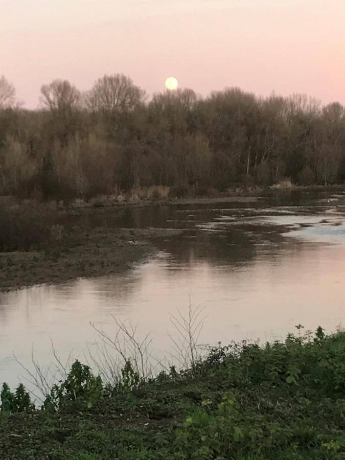 Gîte pour 2 personnes à Saint-Pierre-des-Corps - 3