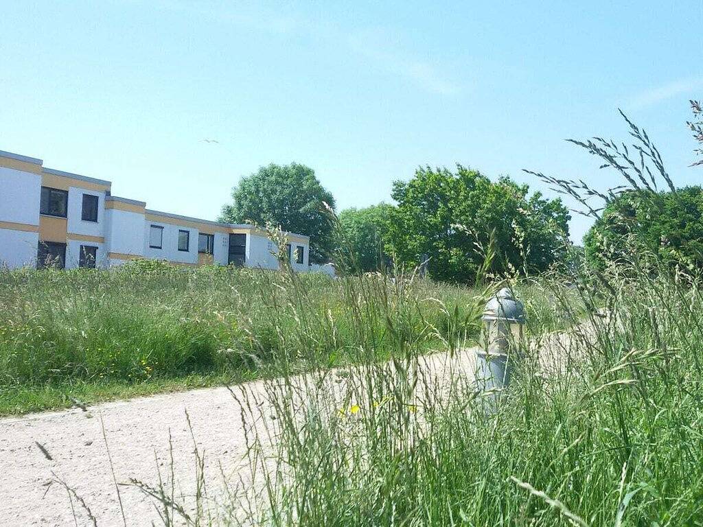 Hohes Ufer mit Meerblick in Hohwacht Strand, Hohwacht