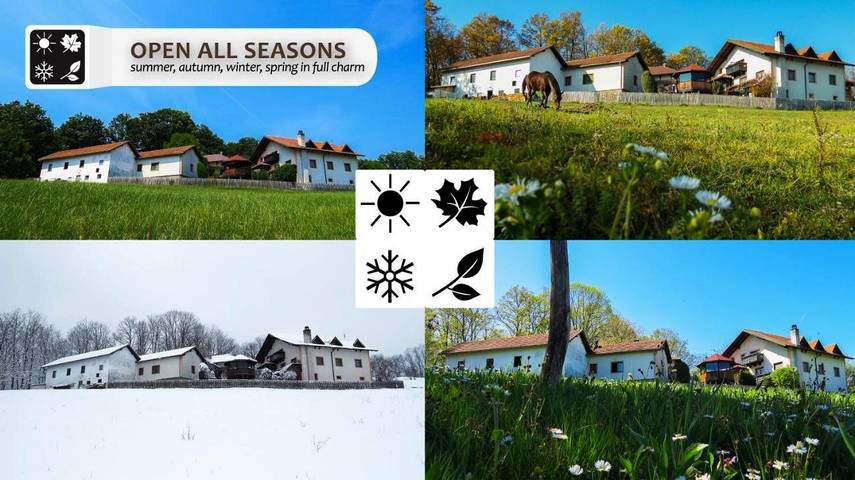 Maison de campagne pour 3 personnes, avec jardin et vue à Despotovac - 2