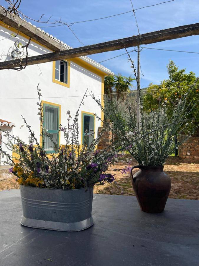 Location de vacances pour 4 personnes, avec jardin et vue à Portalegre - 2