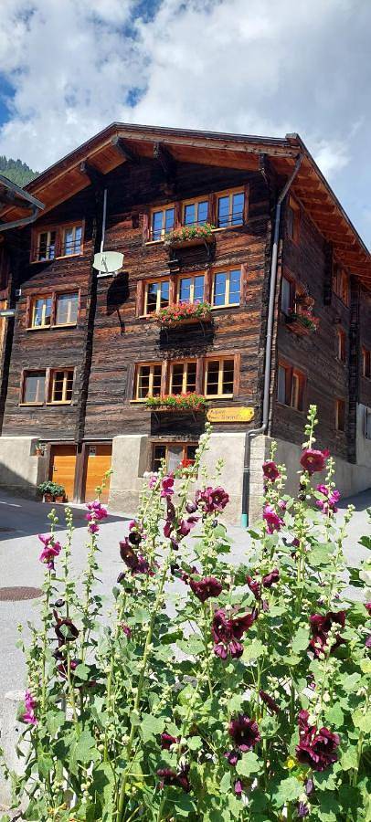 Ferienwohnung für 4 Personen, mit Terrasse und Garten sowie Ausblick in Reckingen-Gluringen