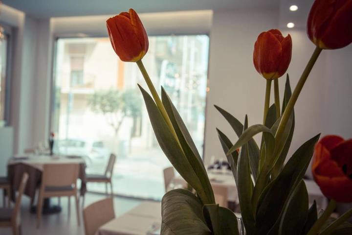 Appartamento per 2 persone, con balcone e panorama, con animali domestici in Margherita di Savoia