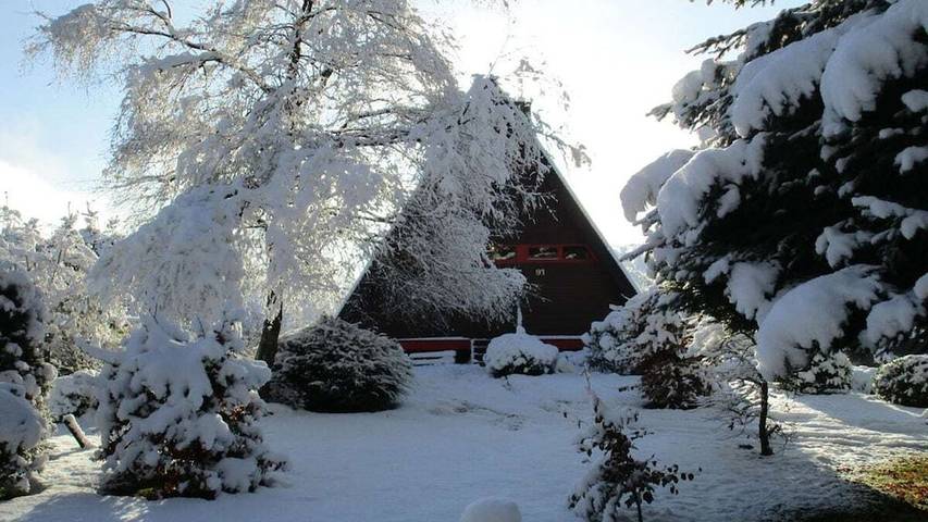 Ferienhaus für 4 Personen, mit Garten, mit Haustier in Monschau - 3