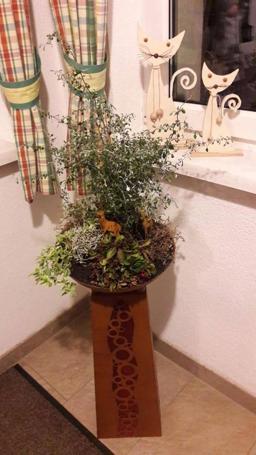 Ganze Ferienwohnung, Schusterbauernhof in Bad Mitterndorf, Dachstein
