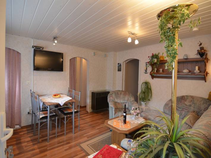 Ferienhaus für 4 Personen, mit Terrasse und Garten sowie Pool in Neuhaus am Rennweg - 3