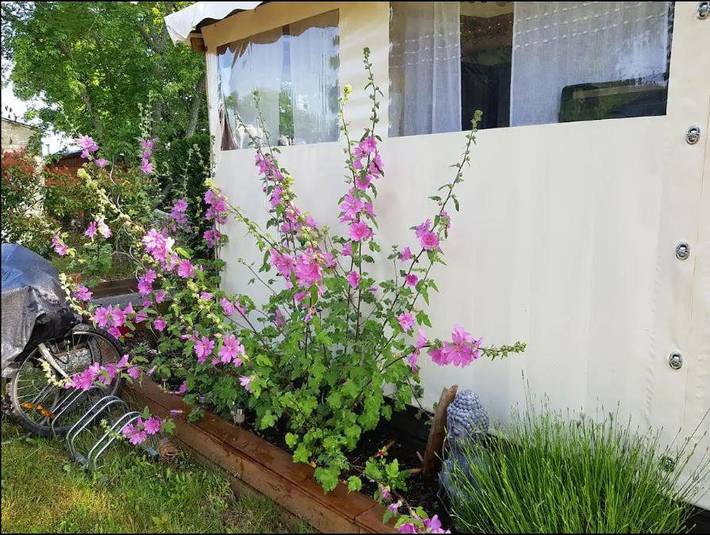 Camping pour 5 personnes, avec Terrasse ainsi que Jardin et Piscine