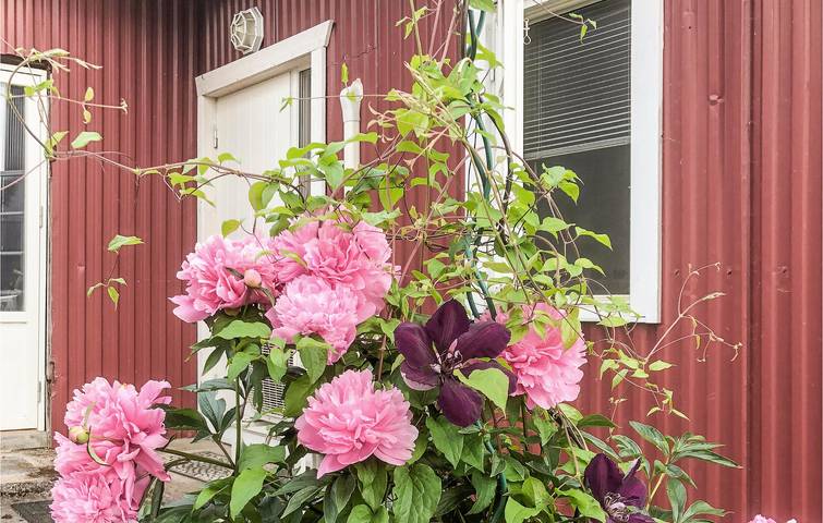 Ferienhaus für 2 Personen, mit Terrasse, mit Haustier in Gotland - 3