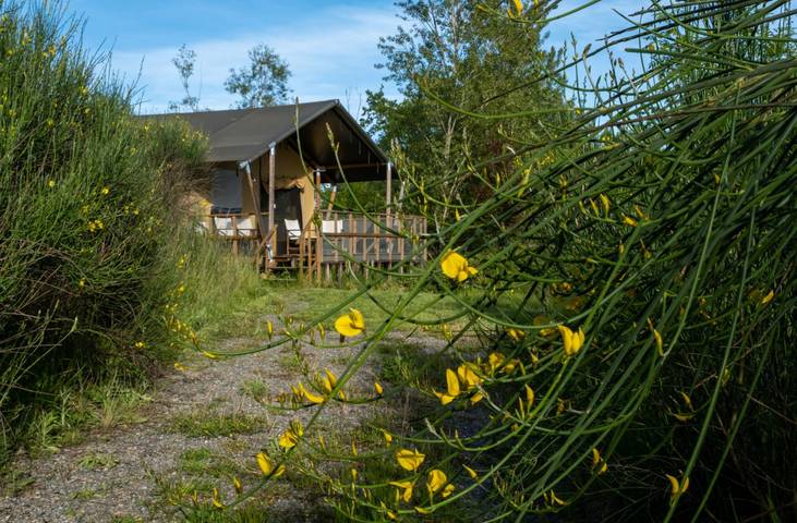 Tente pour 7 personnes, avec piscine et terrasse, animaux acceptés dans le Tarn-et-Garonne - 4